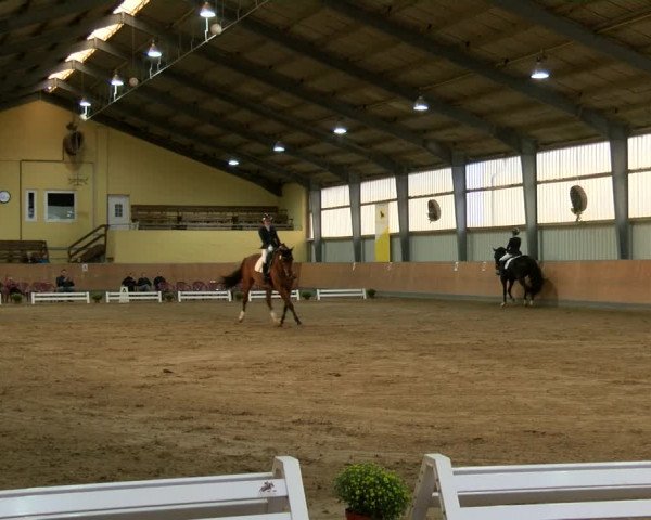 Reitturnier Frechen-Grefrath - Sonnenhof 2022