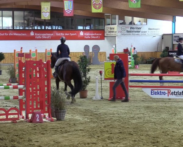 Reitturnier Steinhagen 2022