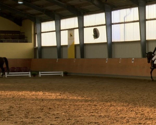 Reitturnier Frechen-Grefrath - Sonnenhof 2022
