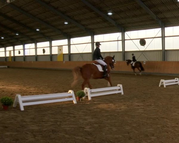 Reitturnier Frechen-Grefrath - Sonnenhof 2022