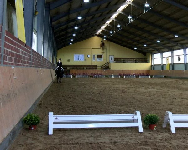 Reitturnier Frechen-Grefrath - Sonnenhof 2022
