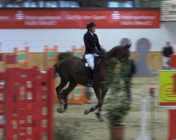 Reitturnier Steinhagen 2022
