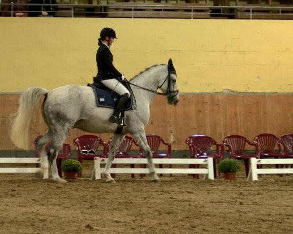 Reitturnier Frechen-Grefrath - Sonnenhof 2022