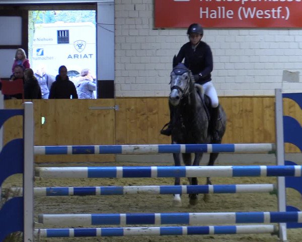 Reitturnier Steinhagen 2022