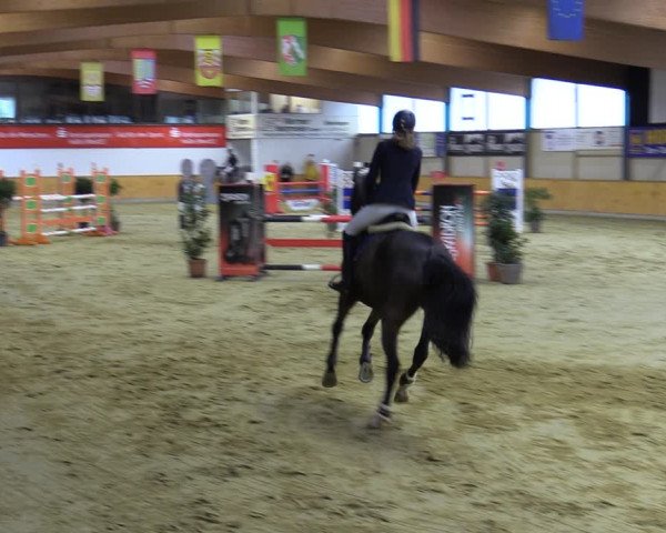 Reitturnier Steinhagen 2022