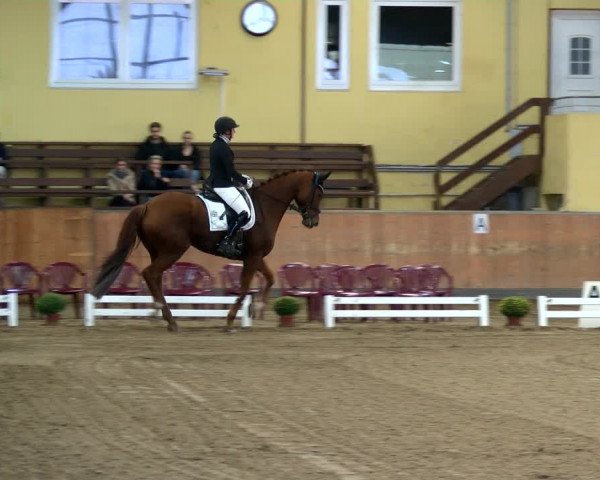 Reitturnier Frechen-Grefrath - Sonnenhof 2022