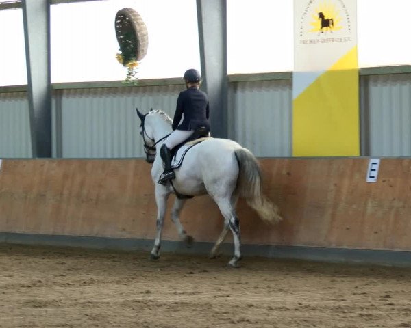 Reitturnier Frechen-Grefrath - Sonnenhof 2022