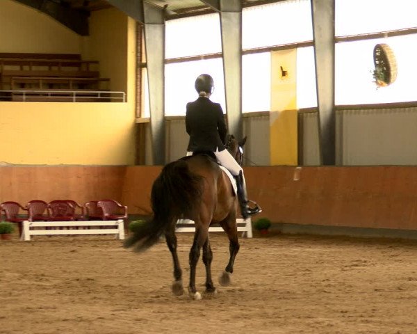 Reitturnier Frechen-Grefrath - Sonnenhof 2022
