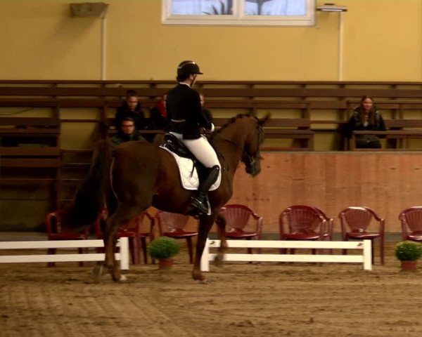 Reitturnier Frechen-Grefrath - Sonnenhof 2022