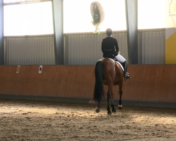 Reitturnier Frechen-Grefrath - Sonnenhof 2022