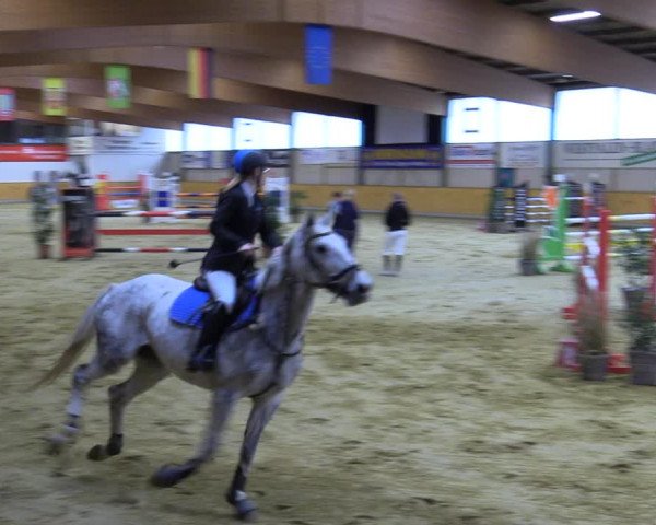 Reitturnier Steinhagen 2022