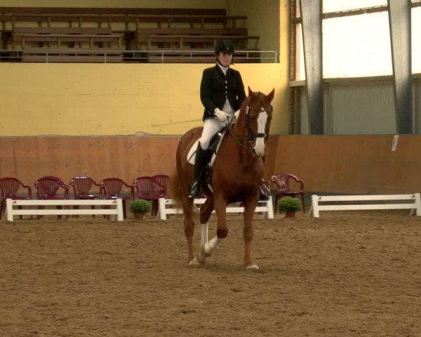 Reitturnier Frechen-Grefrath - Sonnenhof 2022