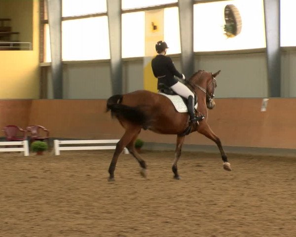 Reitturnier Frechen-Grefrath - Sonnenhof 2022