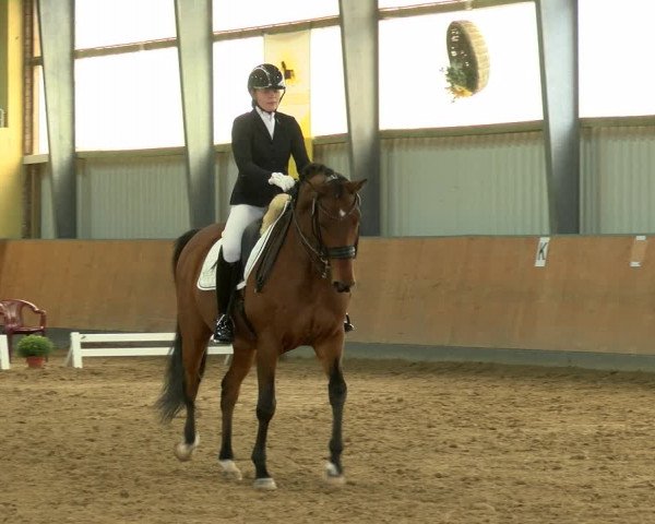 Reitturnier Frechen-Grefrath - Sonnenhof 2022