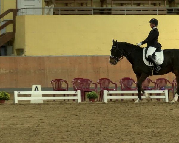 Reitturnier Frechen-Grefrath - Sonnenhof 2022