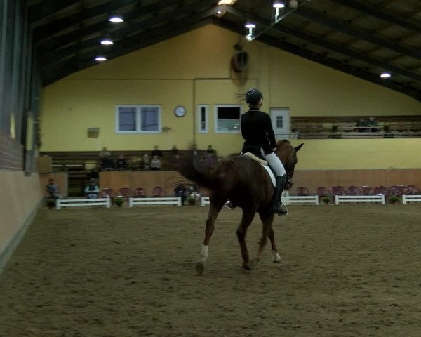 Reitturnier Frechen-Grefrath - Sonnenhof 2022