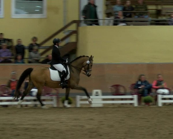 Reitturnier Frechen-Grefrath - Sonnenhof 2022