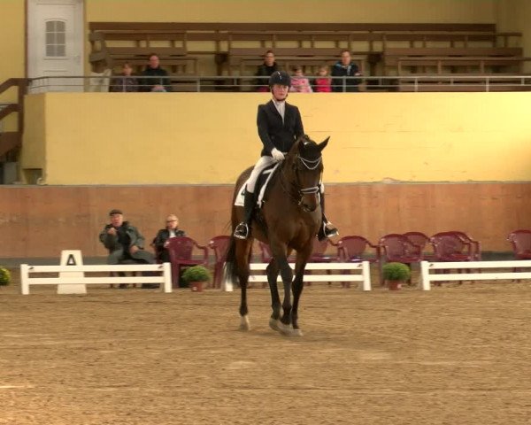 Reitturnier Frechen-Grefrath - Sonnenhof 2022