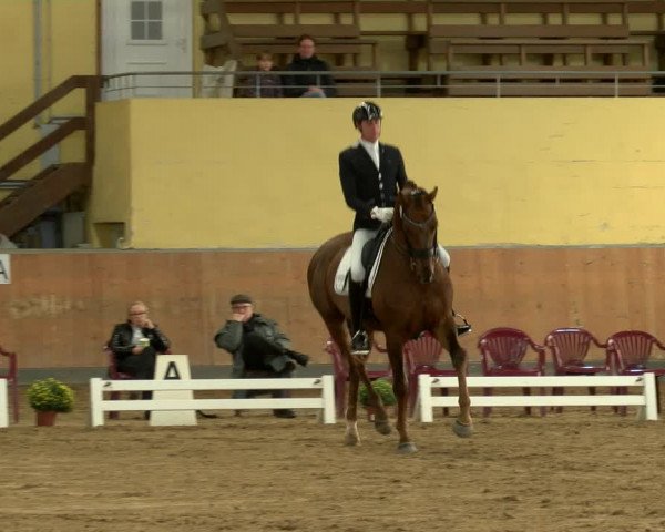 Reitturnier Frechen-Grefrath - Sonnenhof 2022