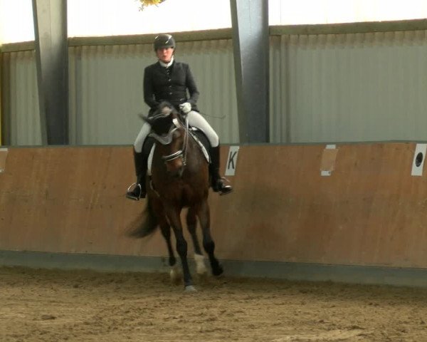 Reitturnier Frechen-Grefrath - Sonnenhof 2022