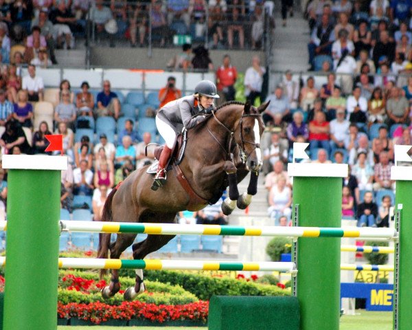 broodmare Benedicte (Belgian Warmblood, 2001, from Kannan)