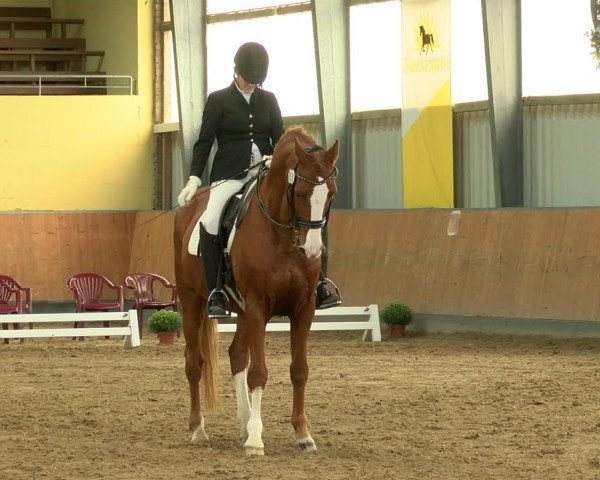 Reitturnier Frechen-Grefrath - Sonnenhof 2022
