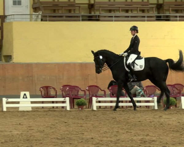 Reitturnier Frechen-Grefrath - Sonnenhof 2022