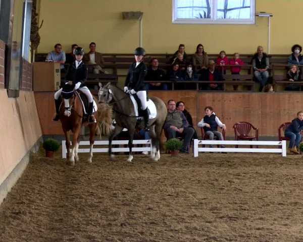 Reitturnier Frechen-Grefrath - Sonnenhof 2022