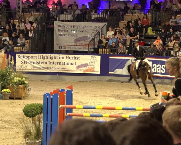 FEI Reitturnier Neumünster 2022