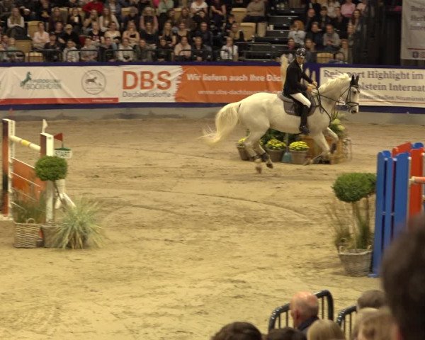 FEI Reitturnier Neumünster 2022