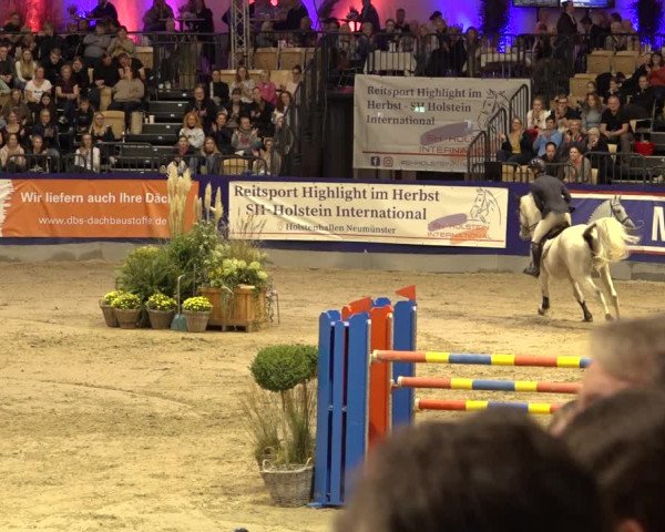 FEI Reitturnier Neumünster 2022