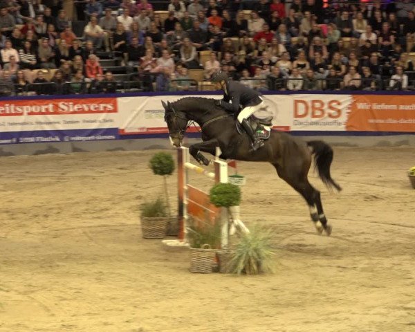 FEI Reitturnier Neumünster 2022