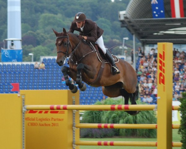 broodmare Zeta de Hus (Zangersheide riding horse, 2000, from Zandor Z)