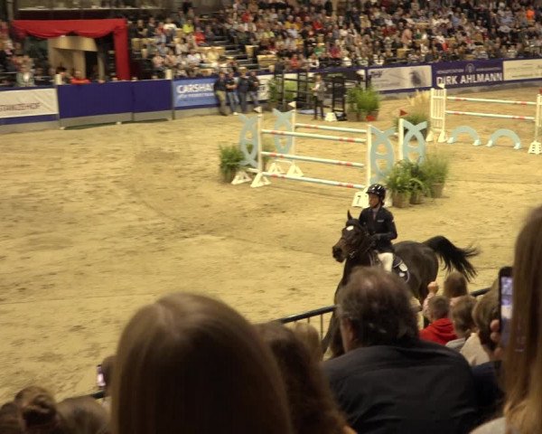 FEI Reitturnier Neumünster 2022
