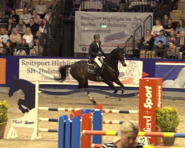 FEI Reitturnier Neumünster 2022