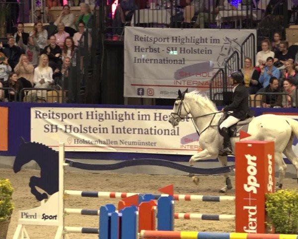 FEI Reitturnier Neumünster 2022