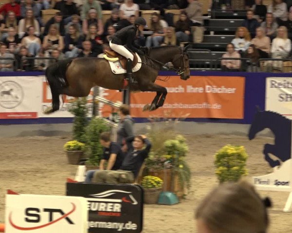 FEI Reitturnier Neumünster 2022