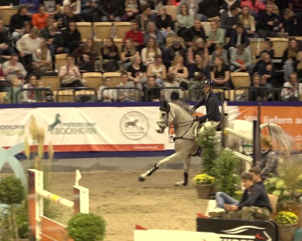 FEI Reitturnier Neumünster 2022