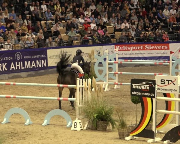 FEI Reitturnier Neumünster 2022