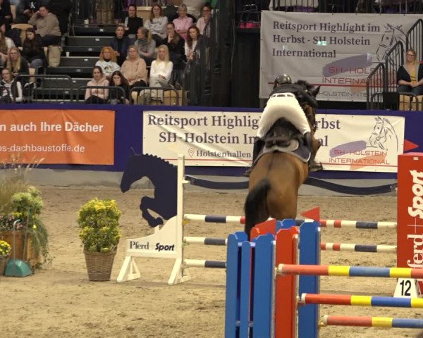 FEI Reitturnier Neumünster 2022