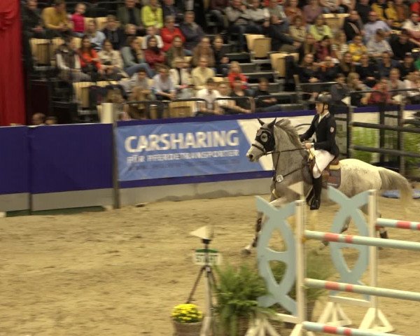 FEI Reitturnier Neumünster 2022