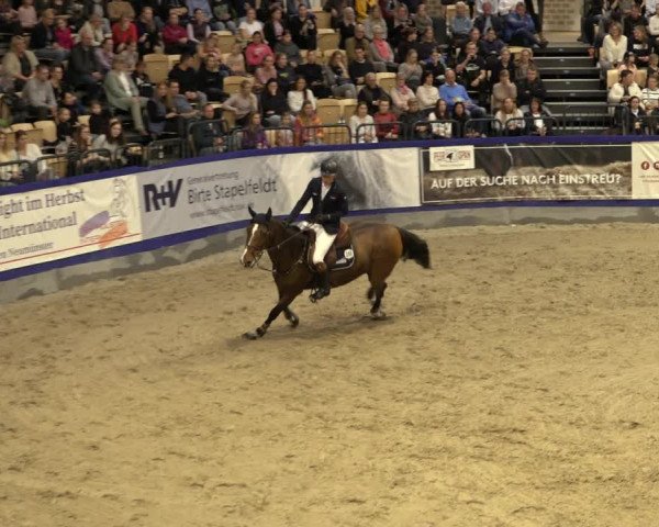 FEI Reitturnier Neumünster 2022