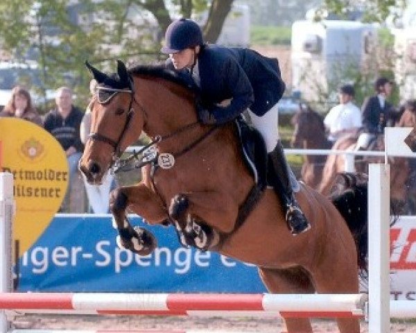 horse Cordial's Lady (Oldenburg, 1994, from Cordial Medoc)
