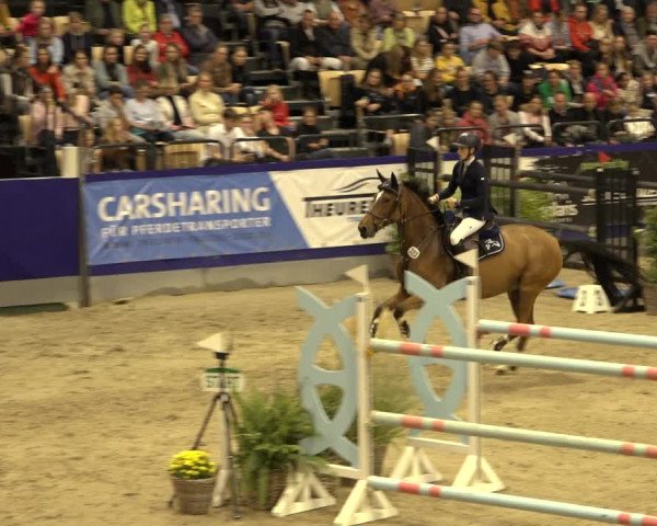 FEI Reitturnier Neumünster 2022