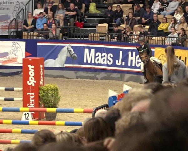 FEI Reitturnier Neumünster 2022