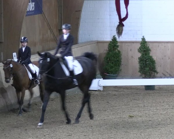 Reitturnier Hövelhof 2022