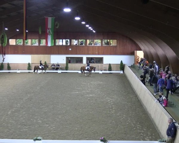 Reitturnier Hövelhof 2022