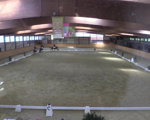 Reitturnier Steinhagen 2022