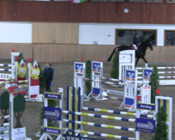 Reitturnier Hövelhof 2022