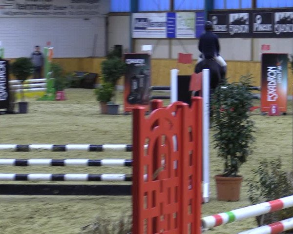 Reitturnier Steinhagen 2022